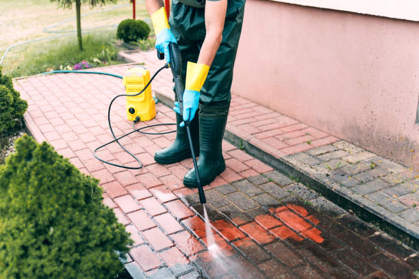 Best Heavy Equipment Washing  in Ithaca, MI